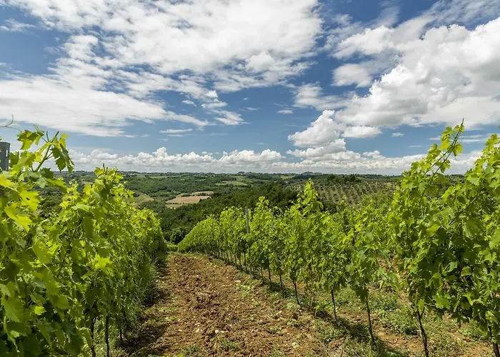 Il Torriano בית חווה Montefiridolfi