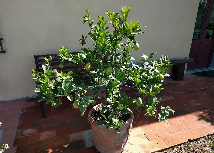 Il Torriano בית חווה