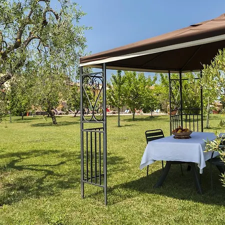 Farm stay Il Torriano Montefiridolfi