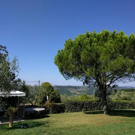 Farm stay Il Torriano *